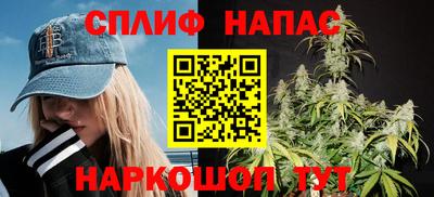 дмт Будённовск