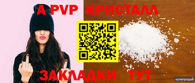 дмт Будённовск