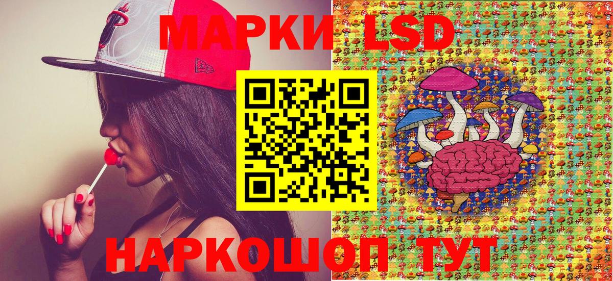 Марки NBOMe 1,5мг Курчалой