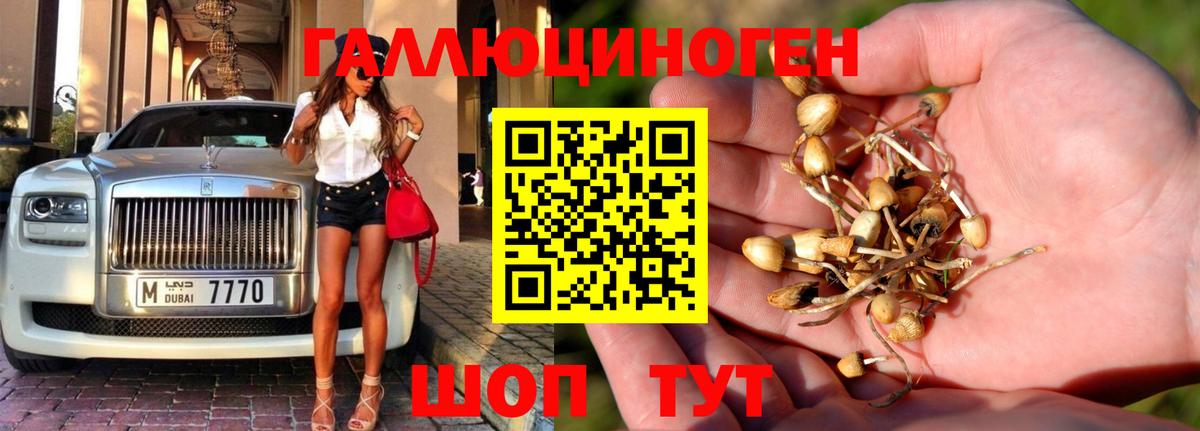 Купить наркотик  Курчалой  Вход с VPN  Меф кристаллы  Alpha PVP СК кристаллы  Гашиш  Марихуана  КЕТАМИН 
